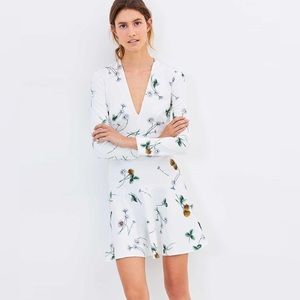 Lover Scuba Drop waist Dress